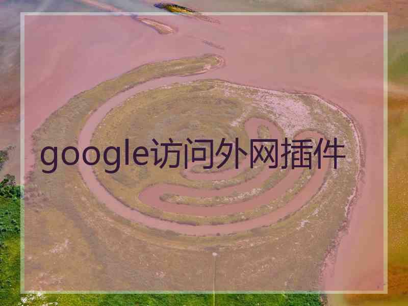 google访问外网插件