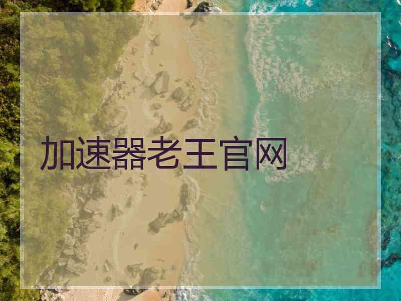 加速器老王官网