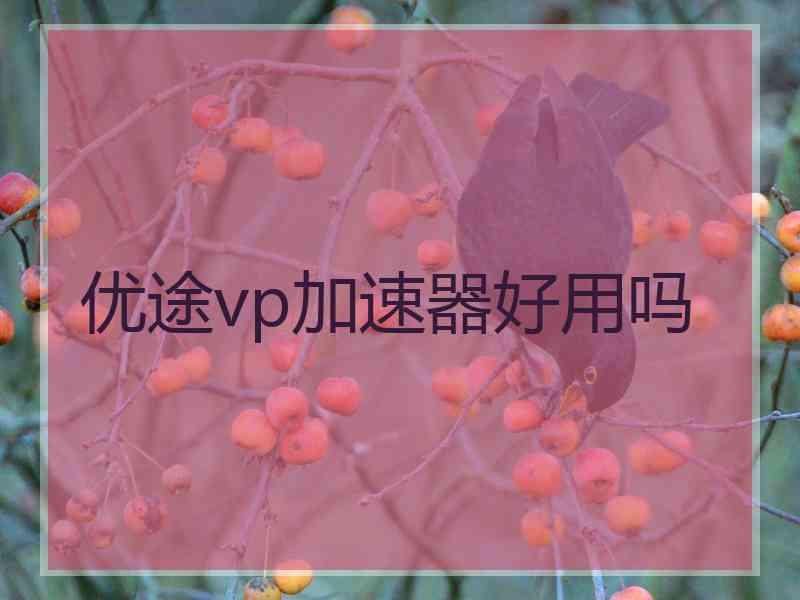 优途vp加速器好用吗